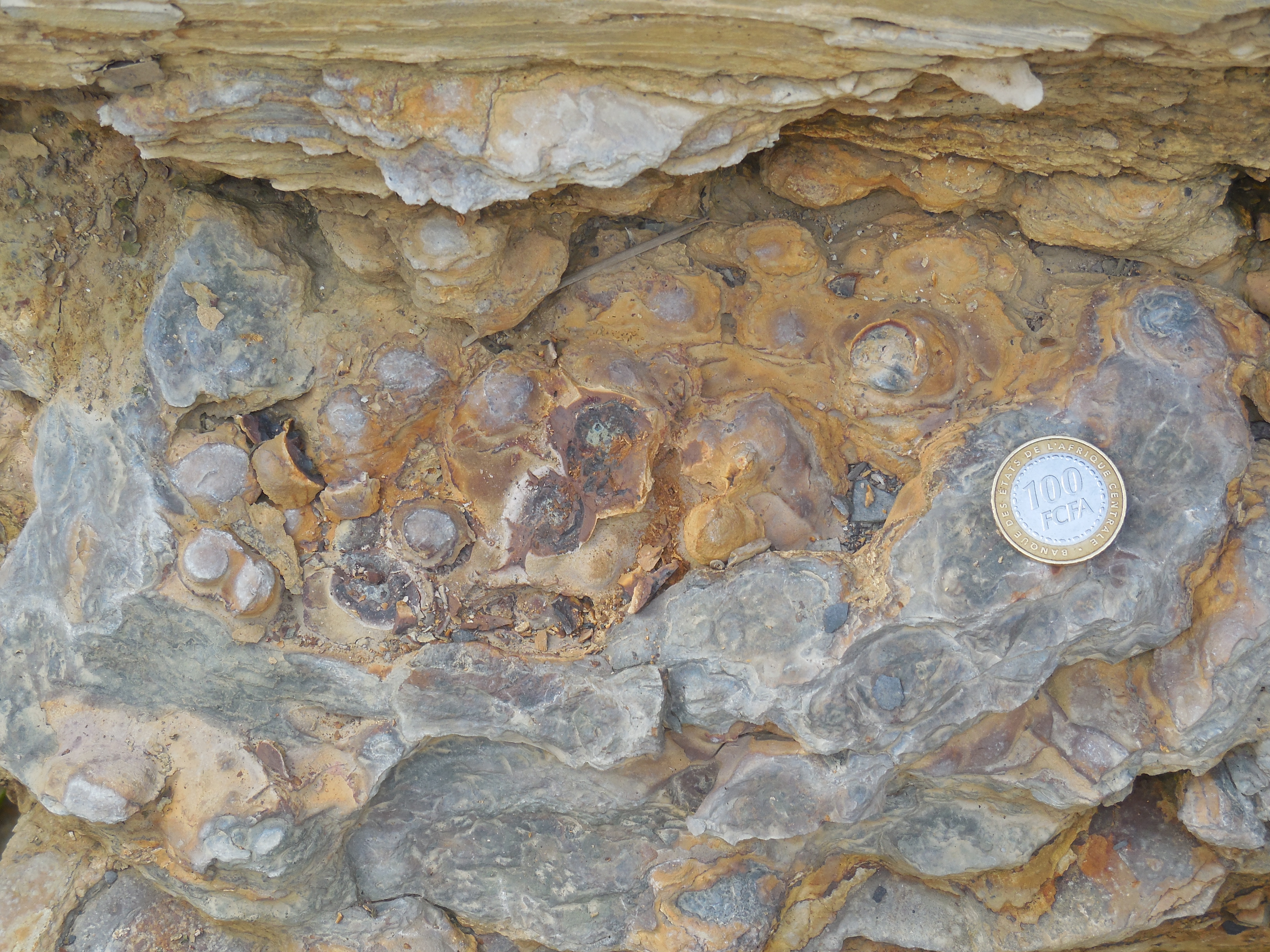 The Gabon and Oxygenation of Earth – Deep Early Earth Project 